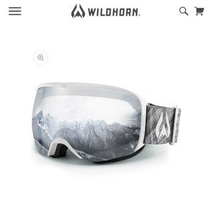Wildhorn Ski Snow Goggles Arctic White Silver